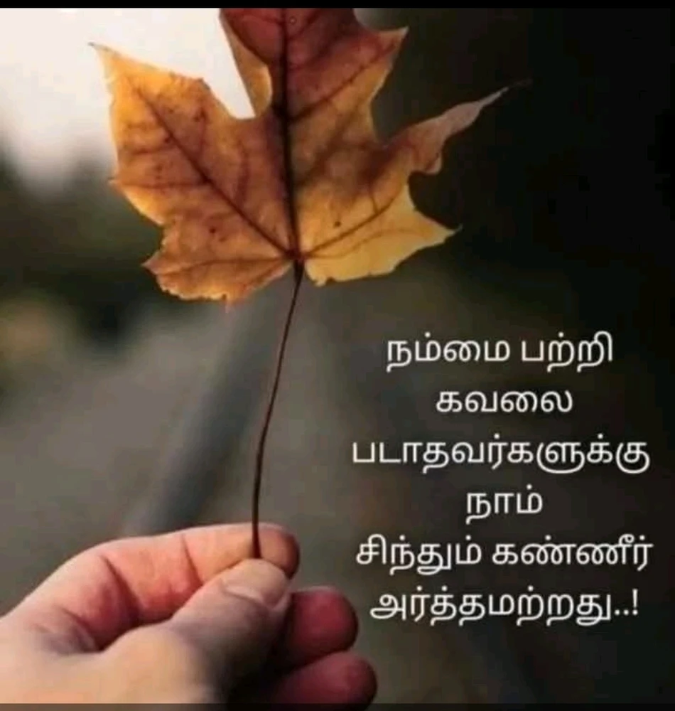 David பதிவேற்றிய GIF