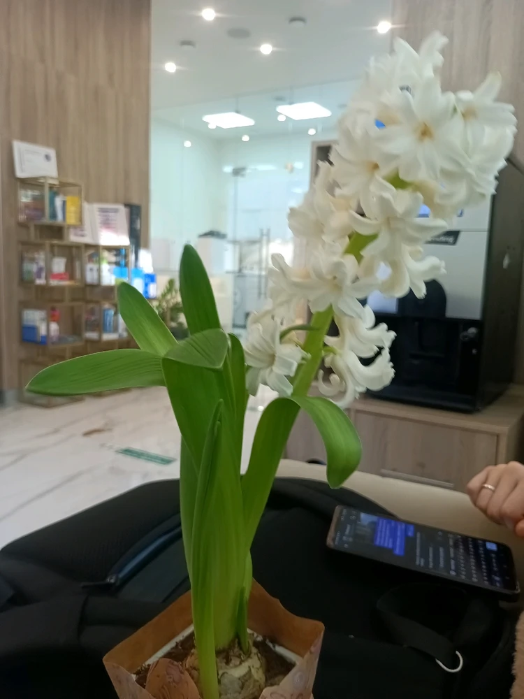 GIF загрузил Ксю