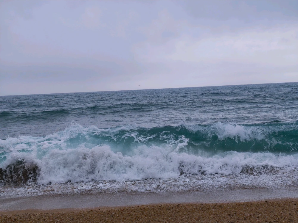 Image uploaded by Tina