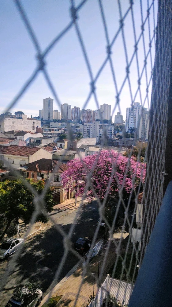 Image uploaded by Luciana