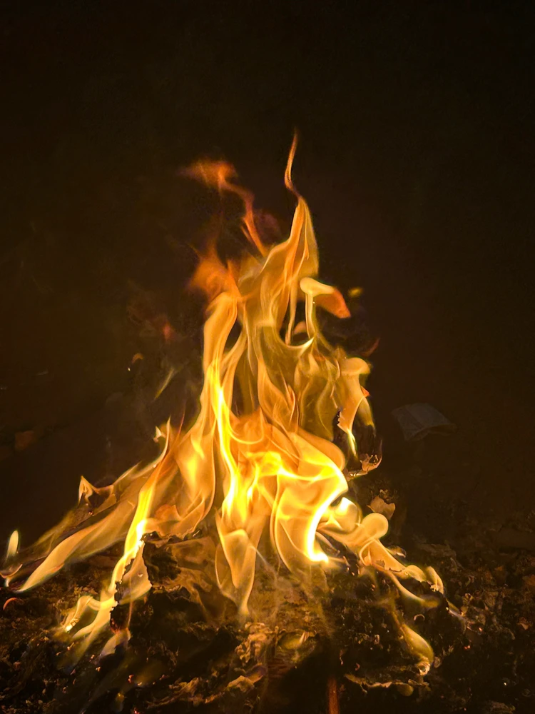 GIF diunggah dening NC