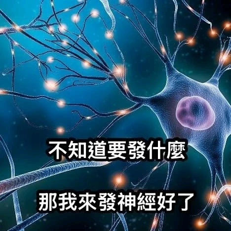 茄子熊 上傳的 GIF