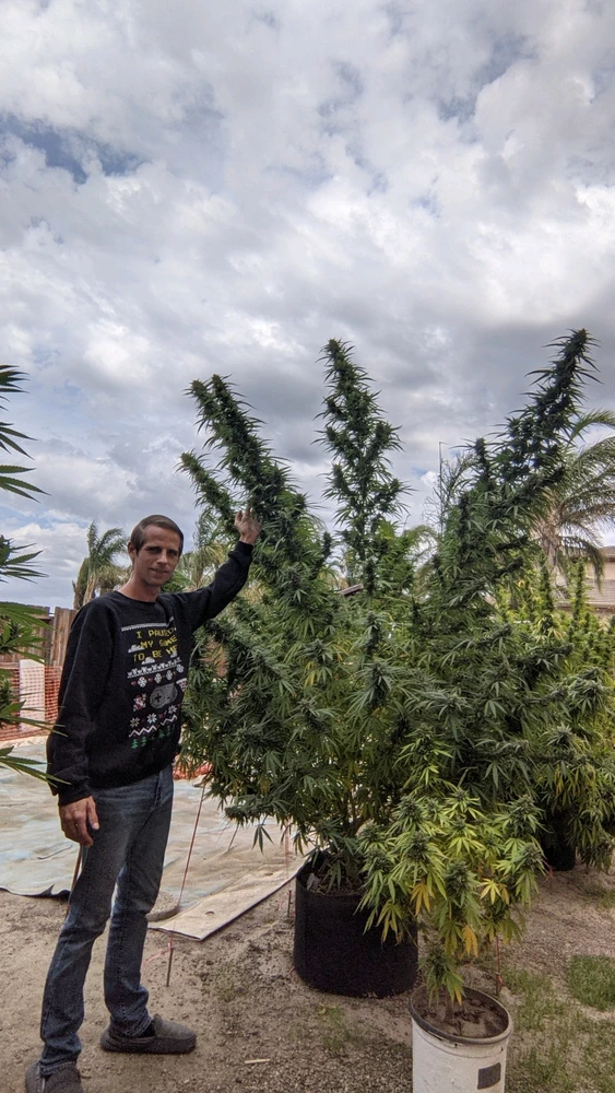 Image uploaded by Joseph