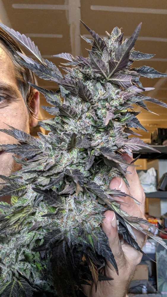 Image uploaded by Joseph