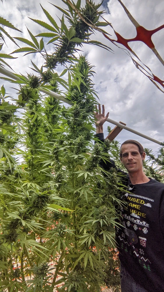 Image uploaded by Joseph