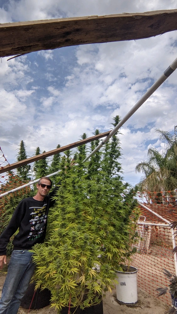 Image uploaded by Joseph