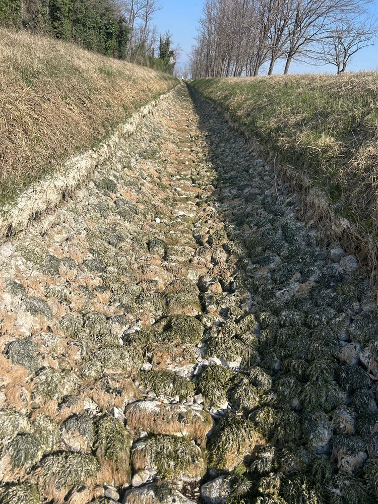 GIF caricata da Fabio