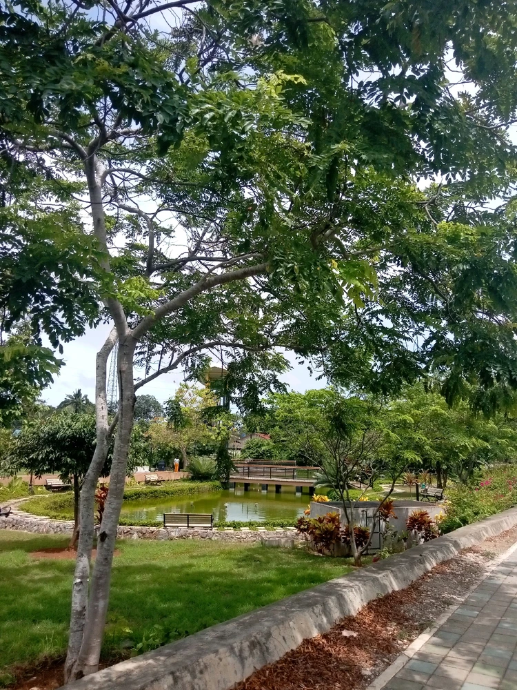 Image uploaded by Nheyce