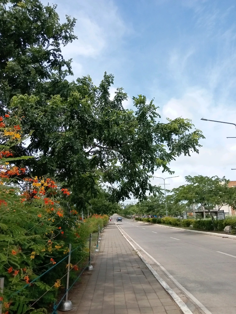 Image uploaded by Nheyce