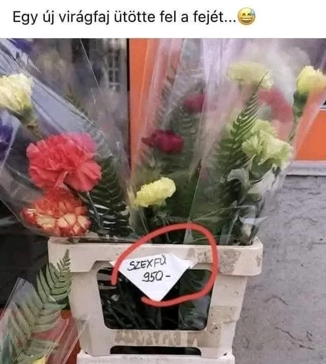 István által feltöltött GIF