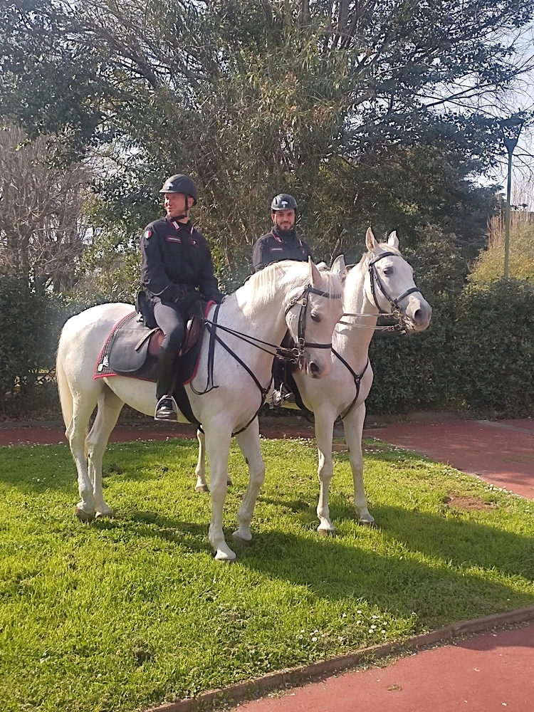 GIF caricata da Sara