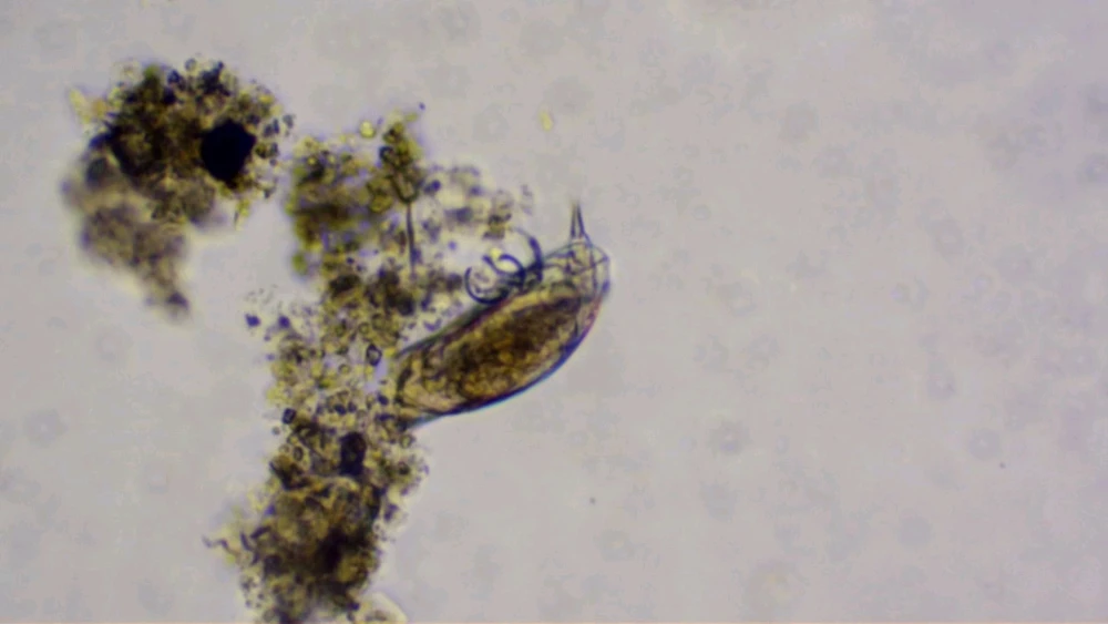 GIF uploaded by Johnkarlo