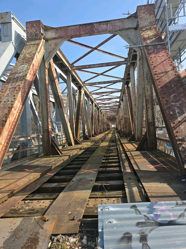 Fotku nahral/-a Alexandra