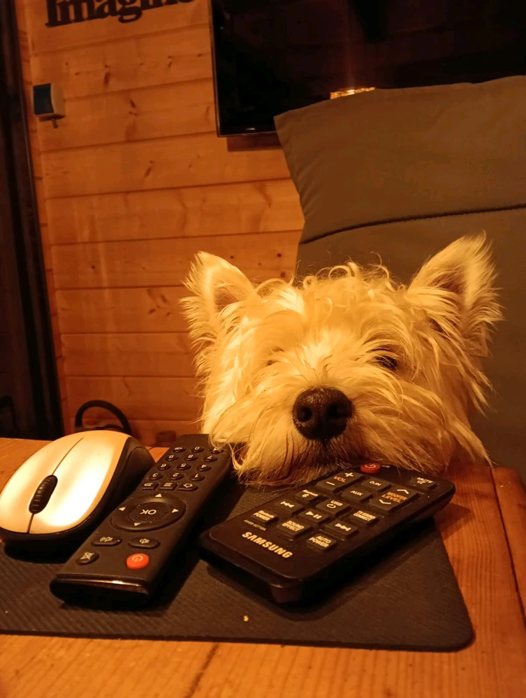 GIF uploaded by Cody