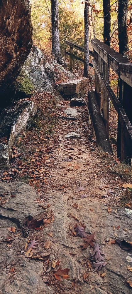 Gambar diunggah dening Falin