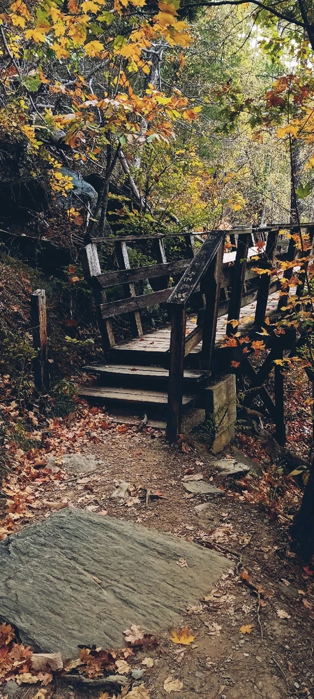 Gambar diunggah dening Falin