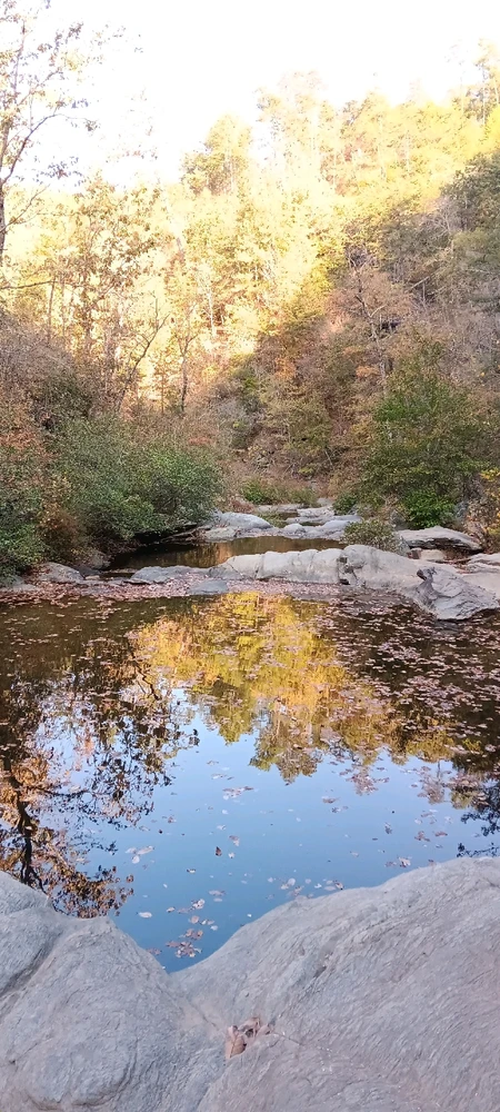 Gambar diunggah dening Falin