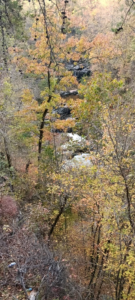 Gambar diunggah dening Falin