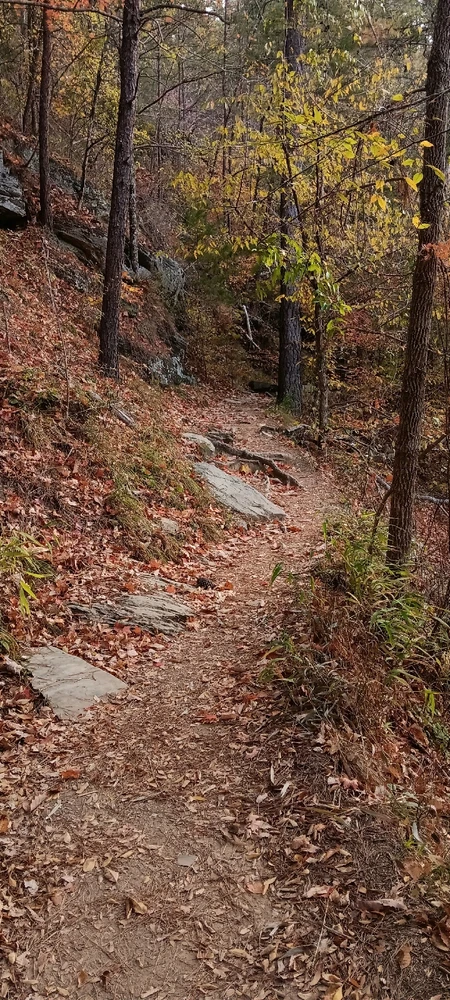 Gambar diunggah dening Falin