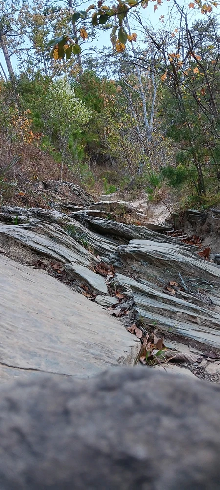 Gambar diunggah dening Falin