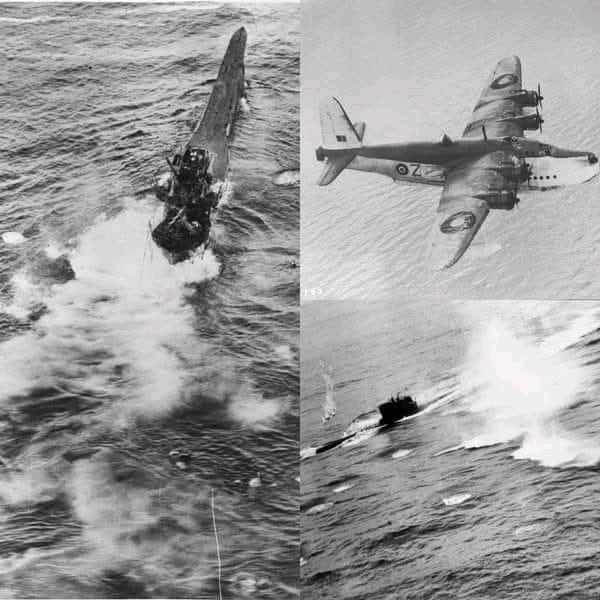 GIF uploaded by Erik Thackrey