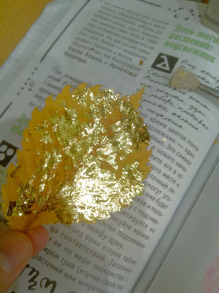 GIF uploaded by Ева (Eva)