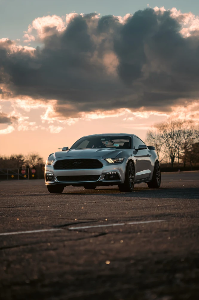 Image uploaded by Edward