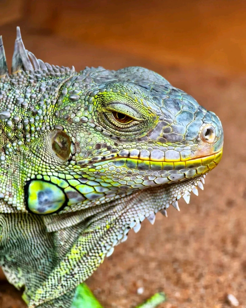 JO NOIR അപ്‌ലോഡ് ചെയ്ത ചിത്രം