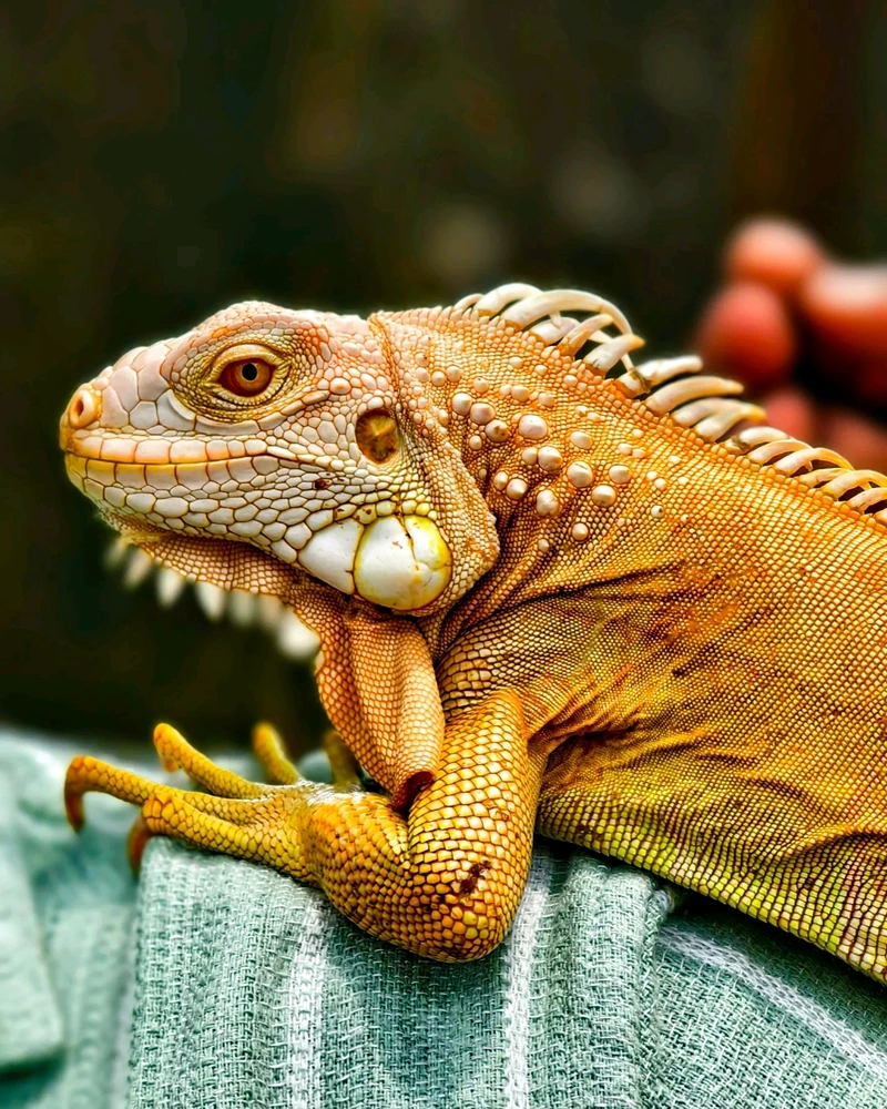 JO NOIR അപ്‌ലോഡ് ചെയ്ത ചിത്രം