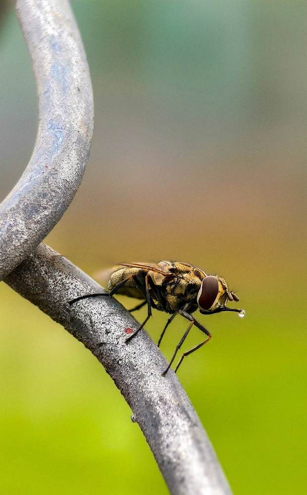 JO NOIR അപ്‌ലോഡ് ചെയ്ത ചിത്രം