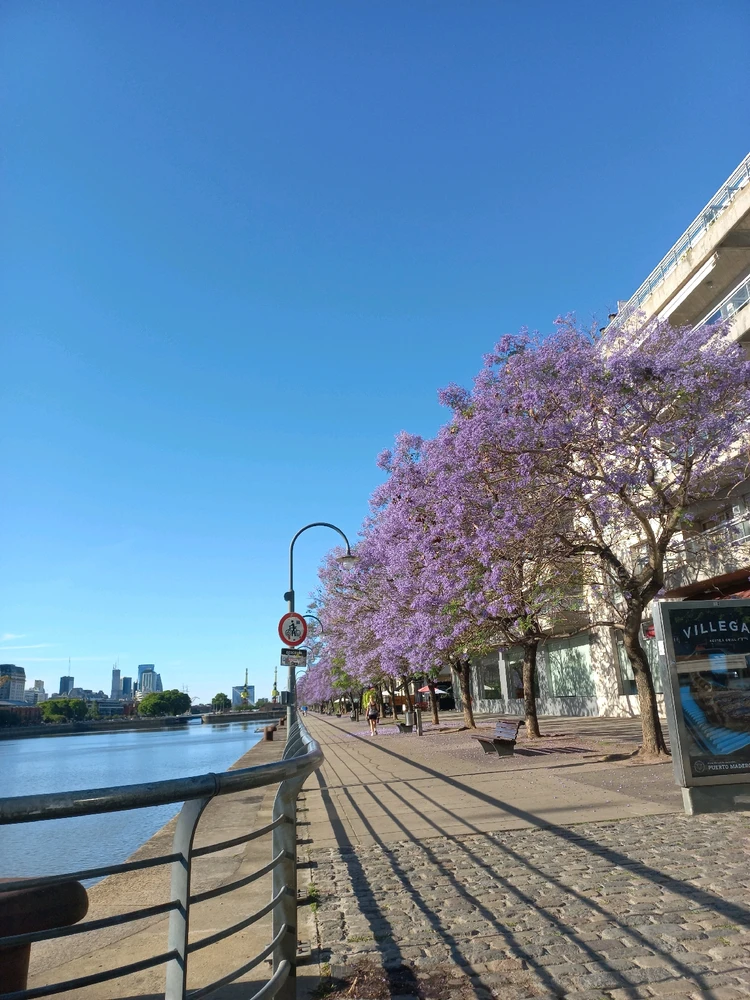 GIF opgelaai deur Alejandro