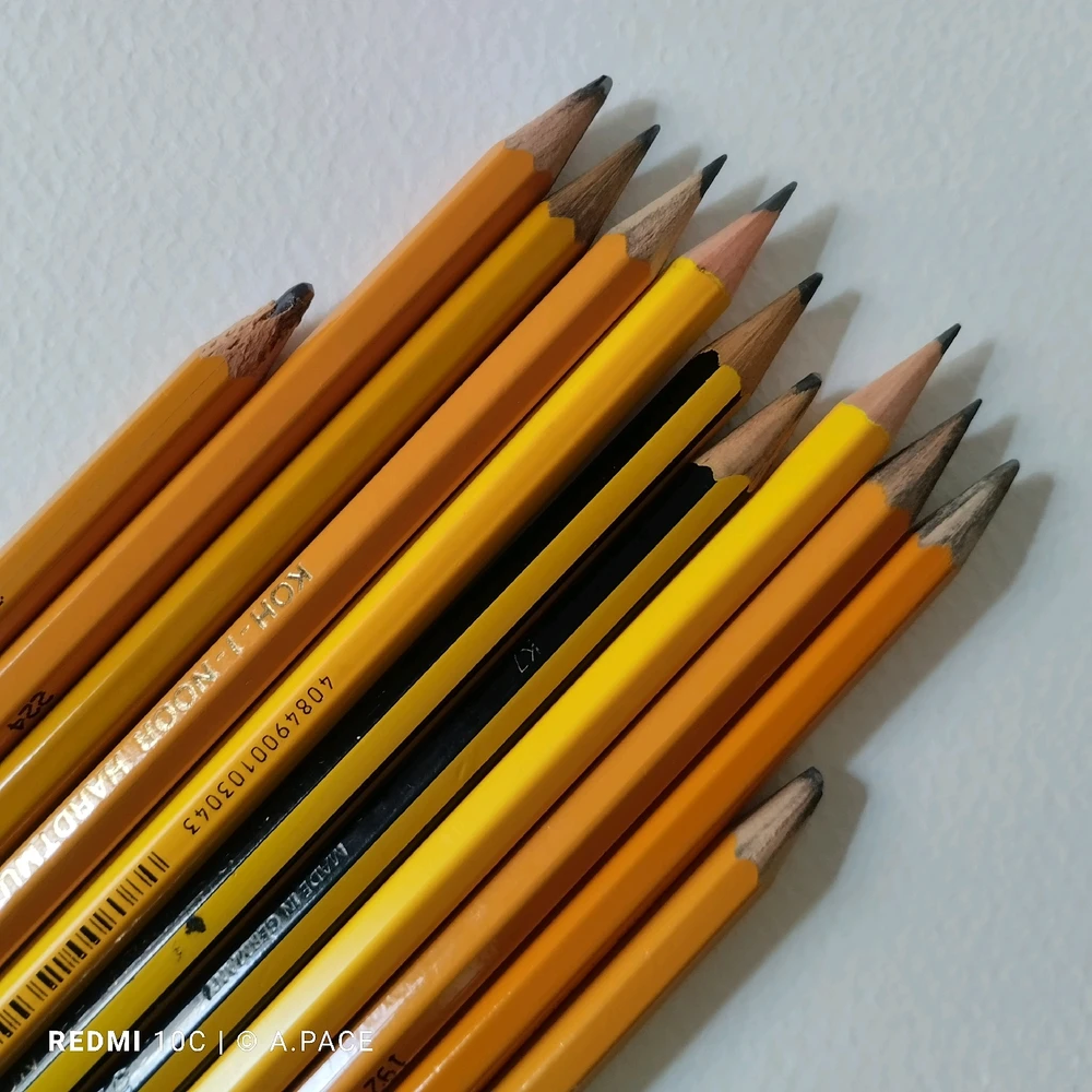 Immagine caricata da Alessandro | alpacigno