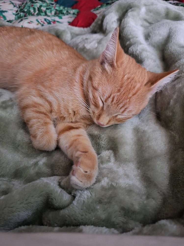 Image uploaded by Tina