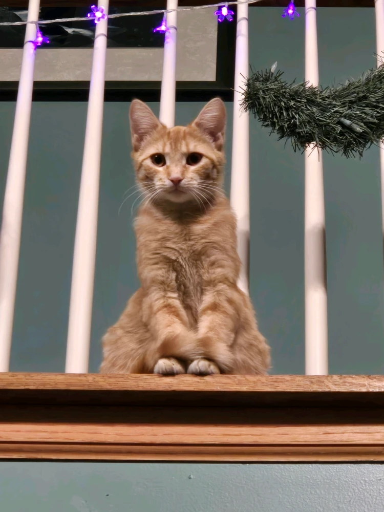 Image uploaded by Tina