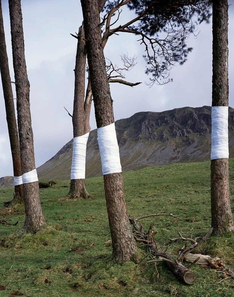 Obrázek nahrál Irónia