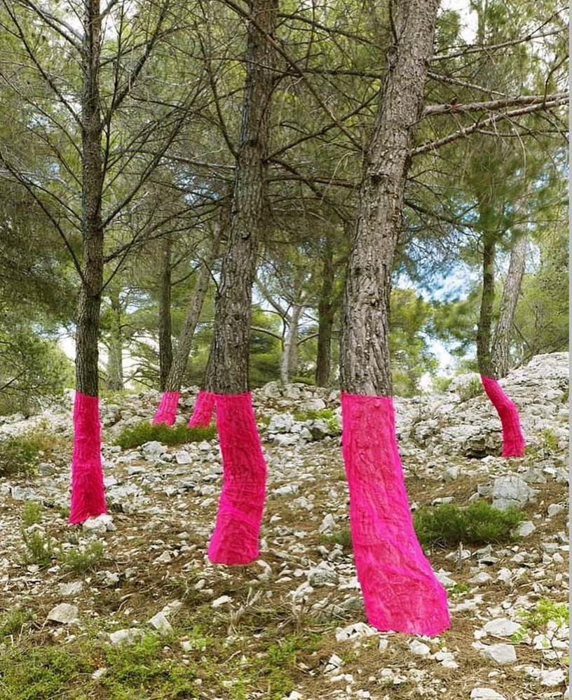 Obrázek nahrál Irónia