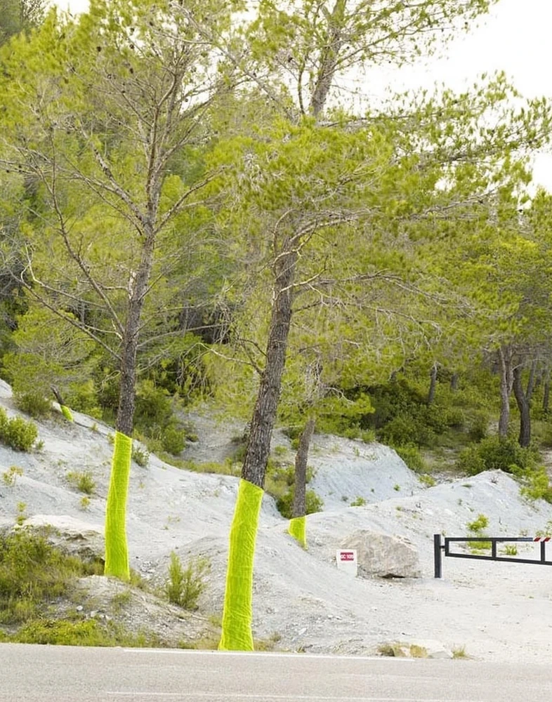 Obrázek nahrál Irónia