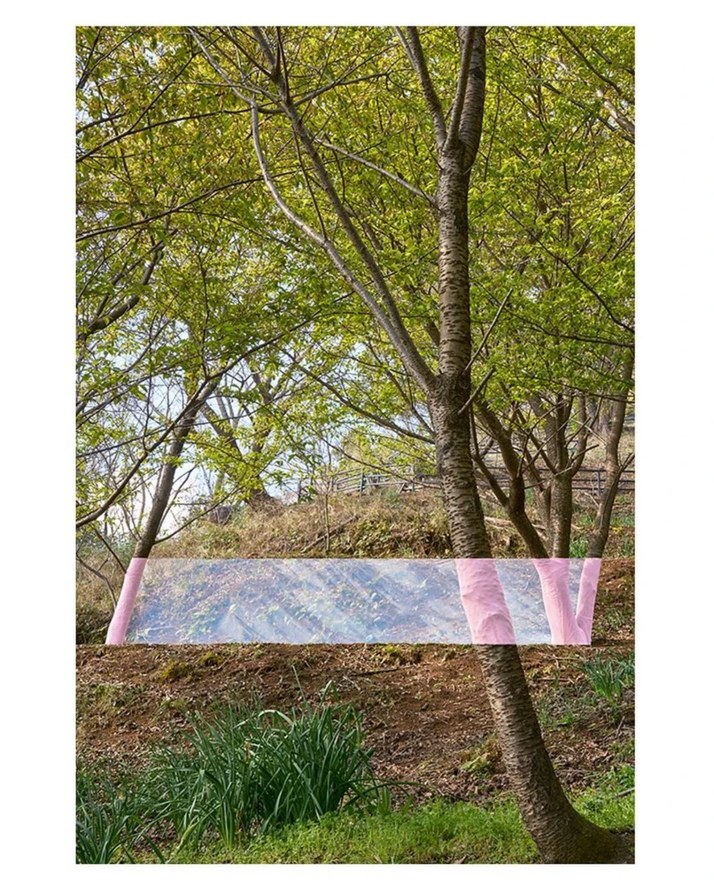 Obrázek nahrál Irónia