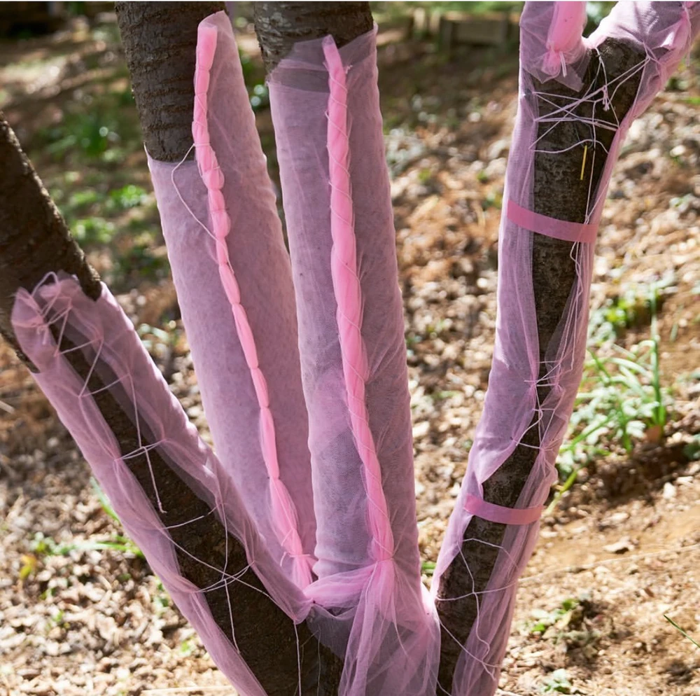 Obrázek nahrál Irónia