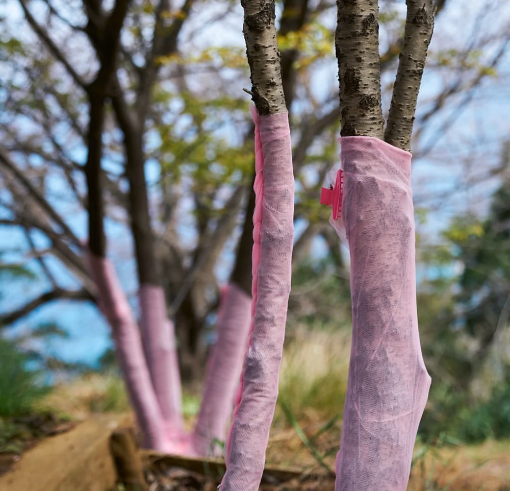 Obrázek nahrál Irónia