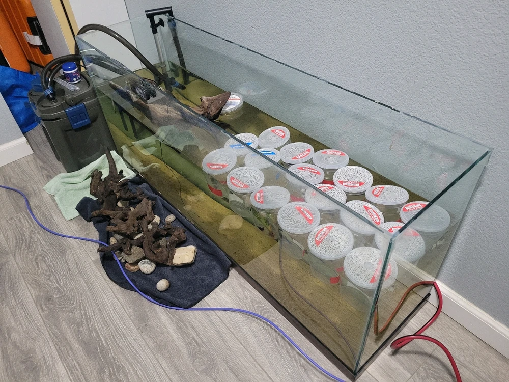 Image uploaded by Sage