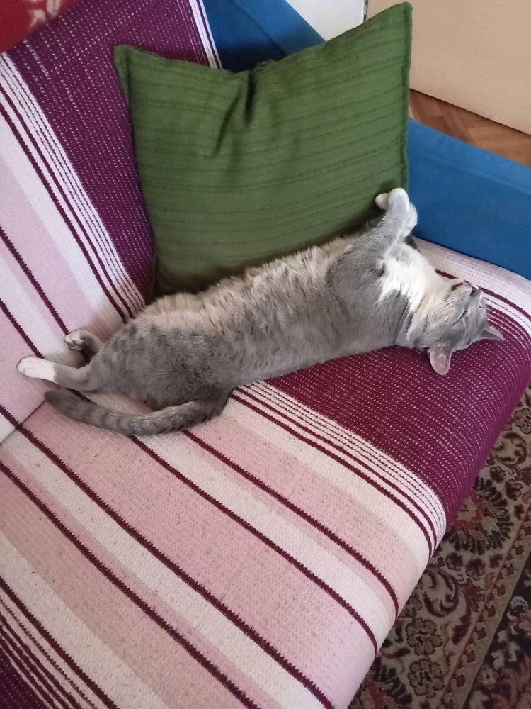 GIF otpremio/la Nenad