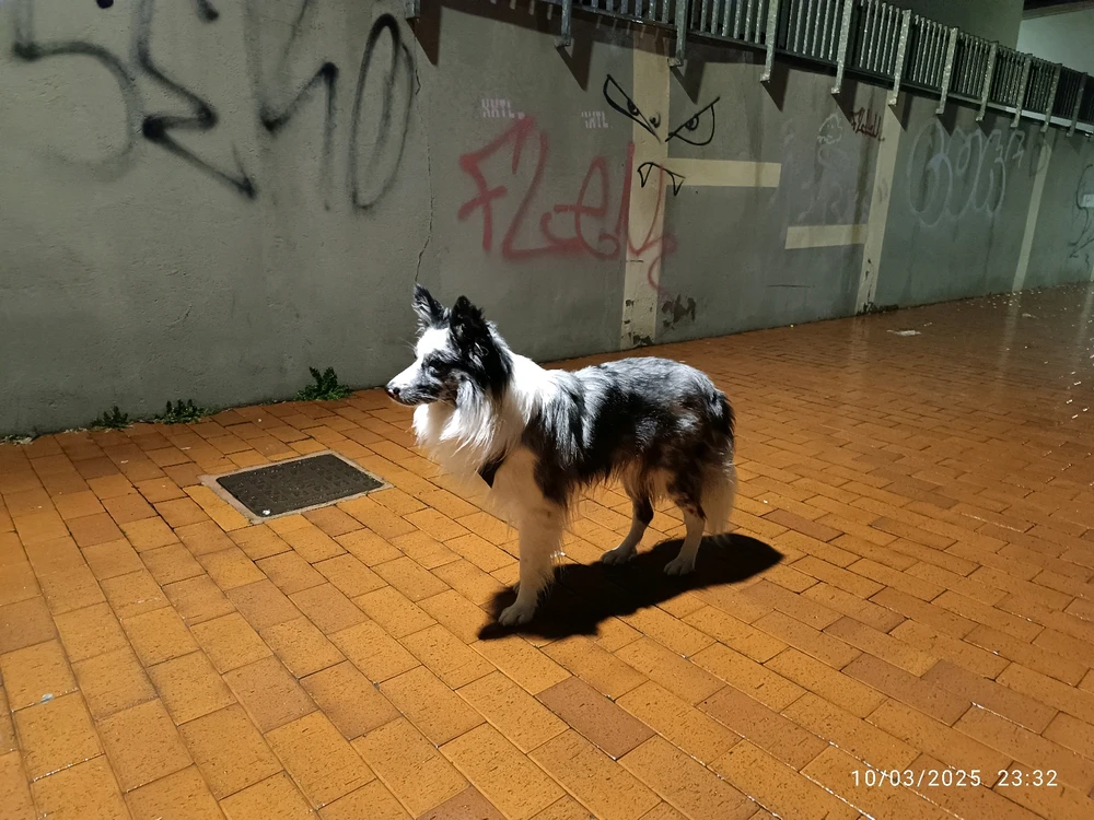 GIF subido por Jorge