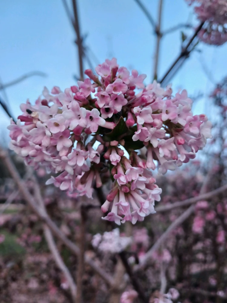 Jongminchoi님이 올린 사진