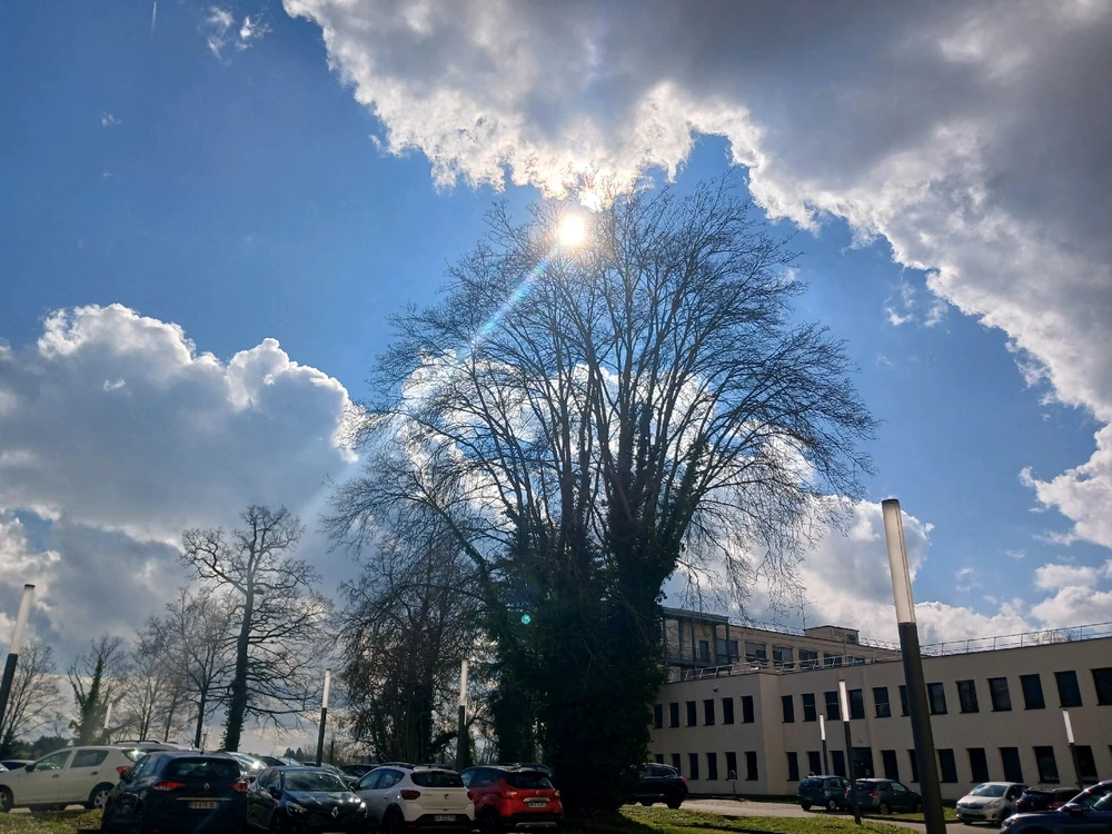 Jongminchoi님이 올린 사진