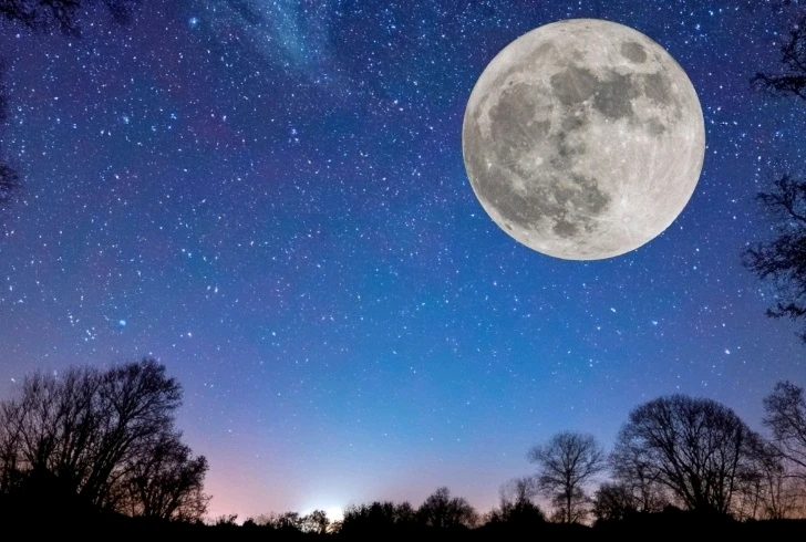 LucaがアップロードしたGIF