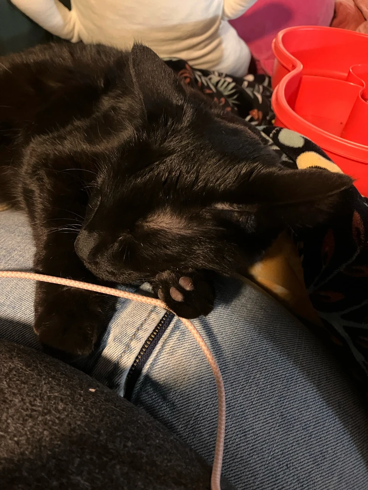GIF uploaded by Harper