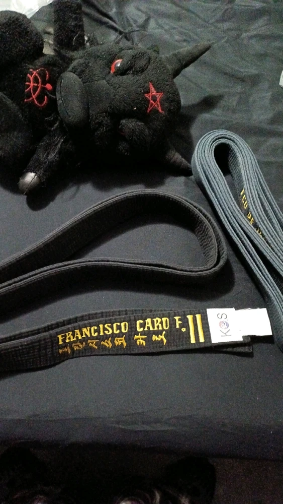 Imagen subida por DoppelPollardon