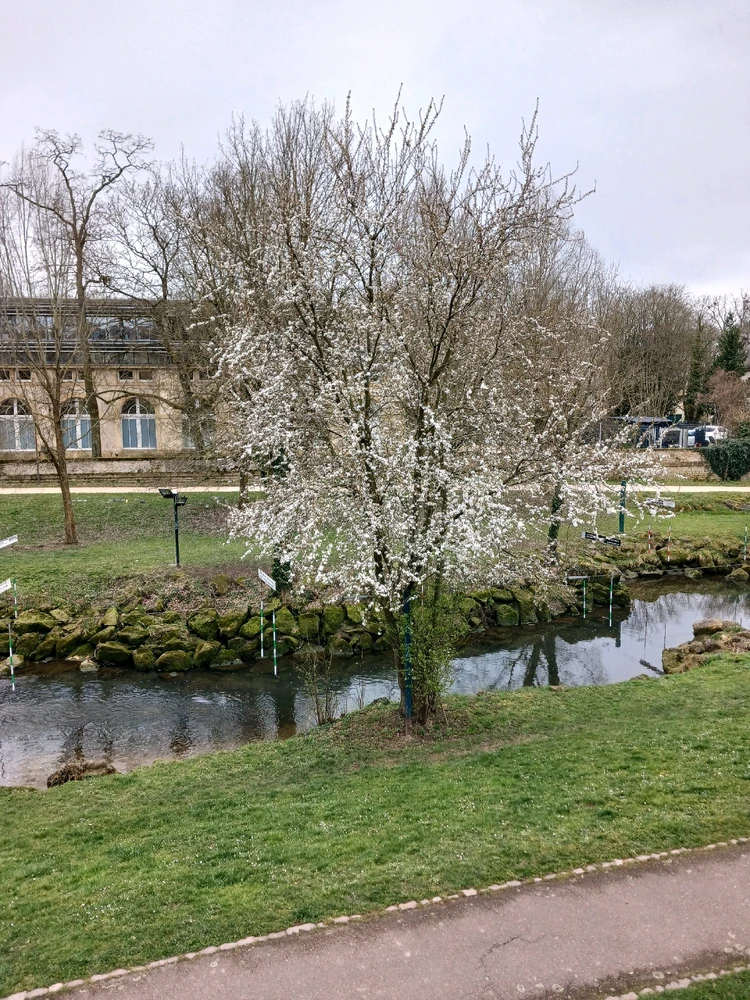 Jongminchoi님이 올린 사진