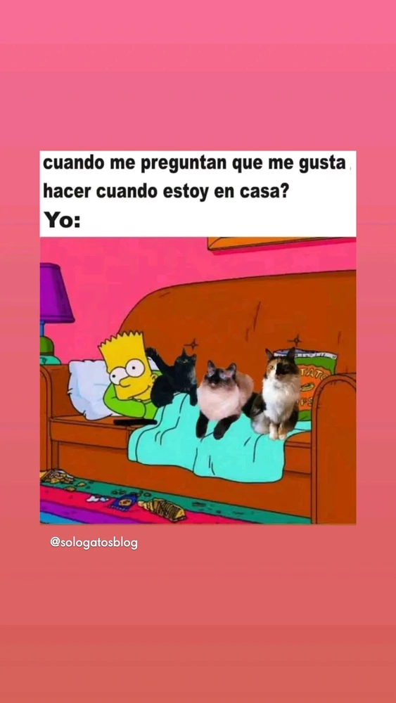 GIF subido por ViviDaSilva